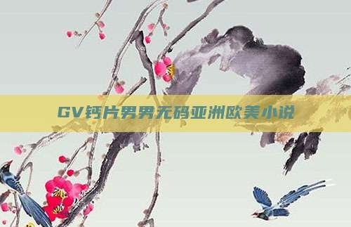 GV钙片男男无码亚洲欧美小说